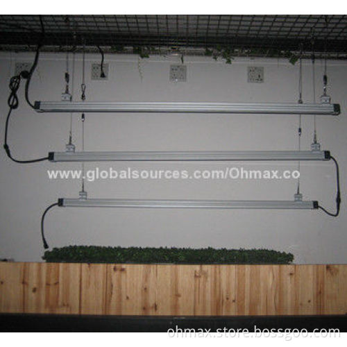 Hydroponic LED grow light with plant factory, researching, spectrum/Light intensity for indoor plant